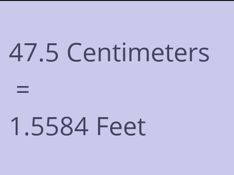 47.5 CM TO FEET