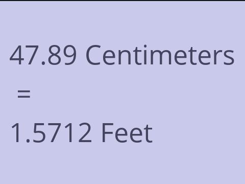 47.89 CM TO FEET