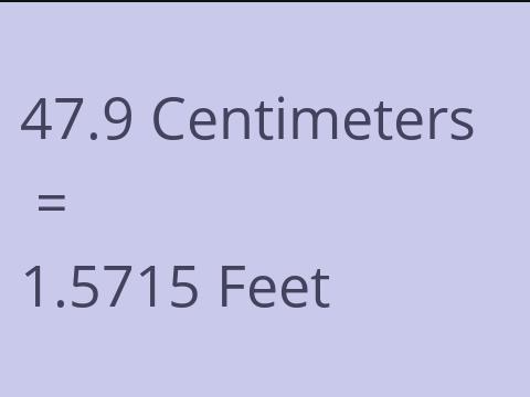 47.9 CM TO FEET