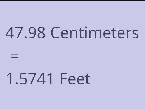 47.98 CM TO FEET