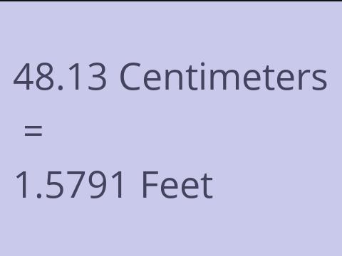 48.13 CM TO FEET