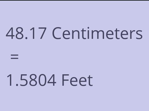 48.17 CM TO FEET