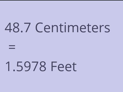 48.7 CM TO FEET