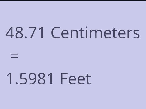 48.71 CM TO FEET