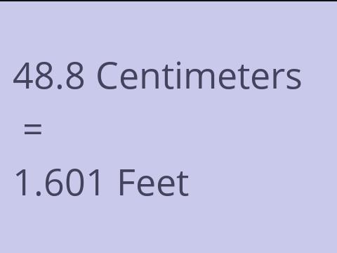 48.8 CM TO FEET