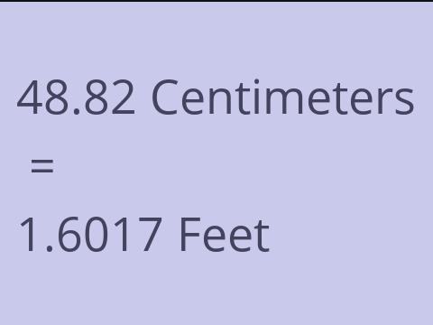 48.82 CM TO FEET