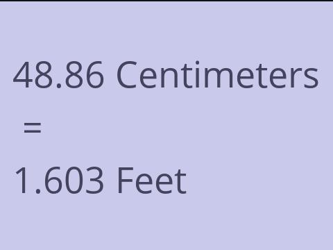 48.86 CM TO FEET