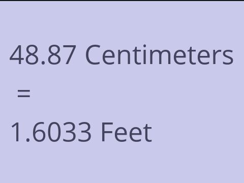 48.87 CM TO FEET