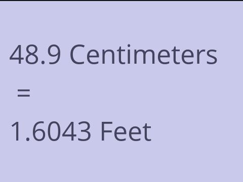 48.9 CM TO FEET