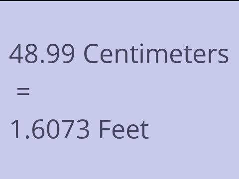 48.99 CM TO FEET