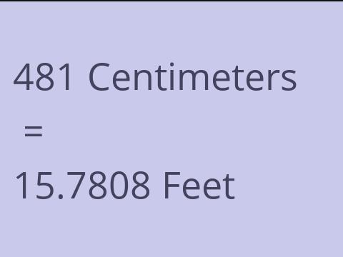 481 CM TO FEET