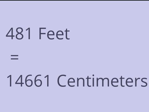 481 FEET TO CM