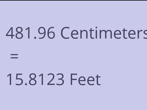 481.96 CM TO FEET