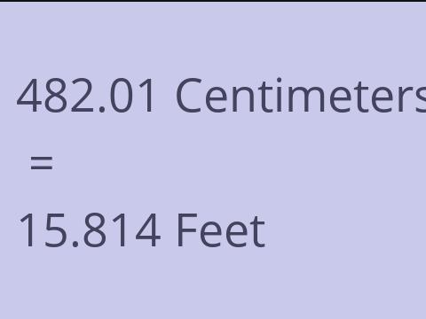 482.01 CM TO FEET