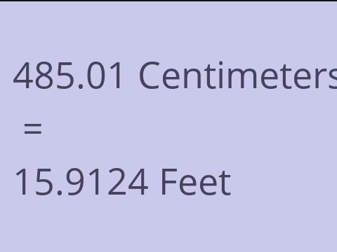 485.01 CM TO FEET