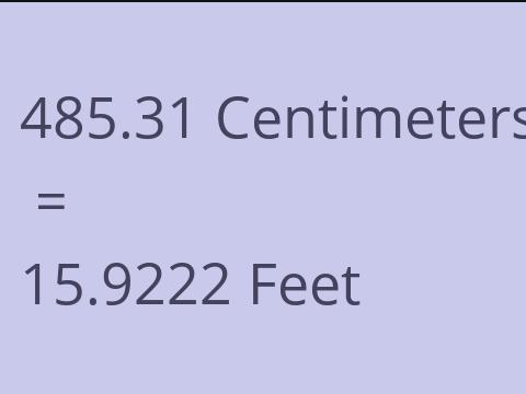 485.31 CM TO FEET