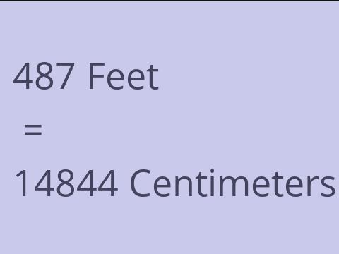 487 FEET TO CM