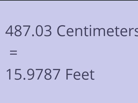 487.03 CM TO FEET