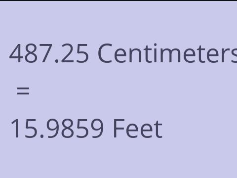 487.25 CM TO FEET