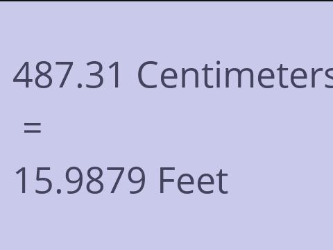 487.31 CM TO FEET