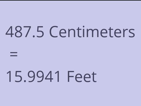 487.5 CM TO FEET