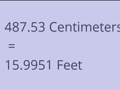 487.53 CM TO FEET