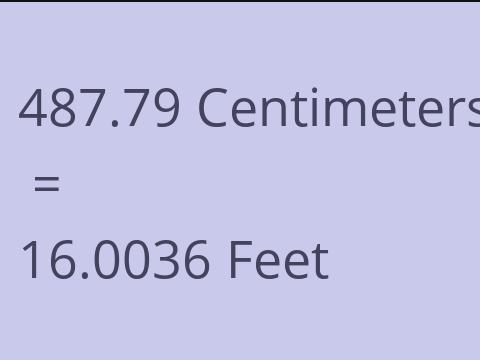 487.79 CM TO FEET