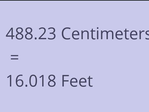 488.23 CM TO FEET