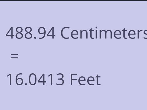 488.94 CM TO FEET