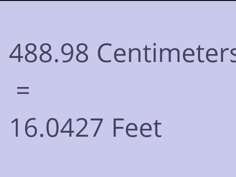 488.98 CM TO FEET