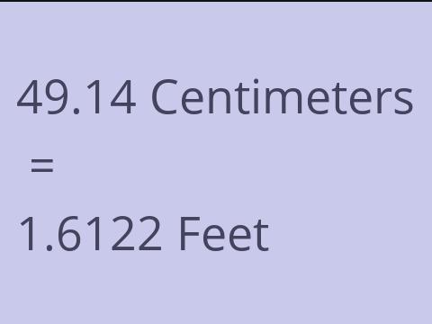 49.14 CM TO FEET