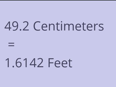 49.2 CM TO FEET