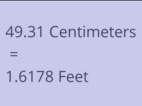 49.31 CM TO FEET