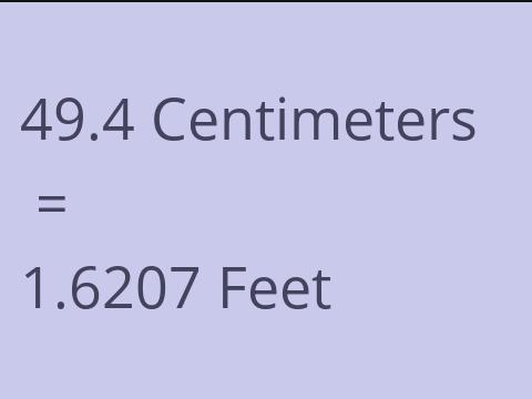 49.4 CM TO FEET