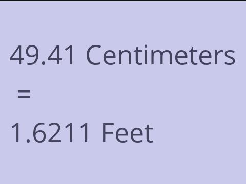 49.41 CM TO FEET