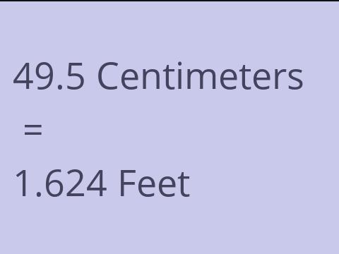 49.5 CM TO FEET