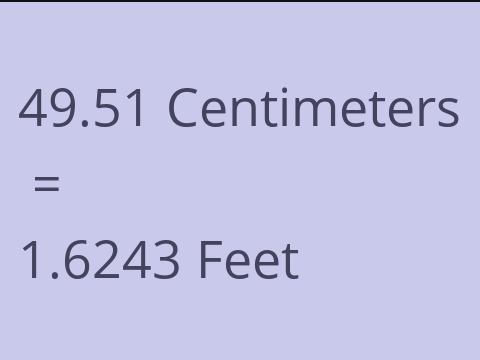 49.51 CM TO FEET