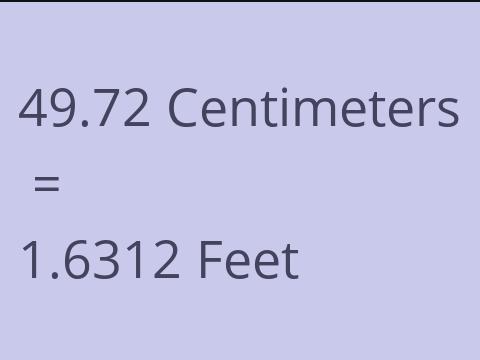 49.72 CM TO FEET