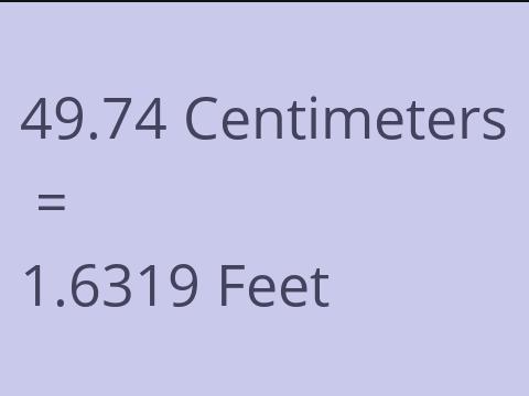 49.74 CM TO FEET