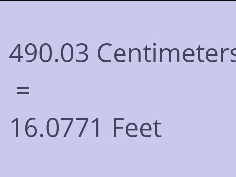 490.03 CM TO FEET