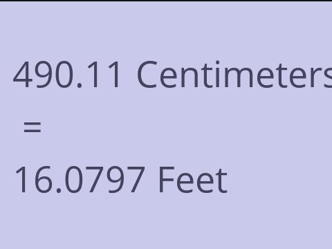 490.11 CM TO FEET