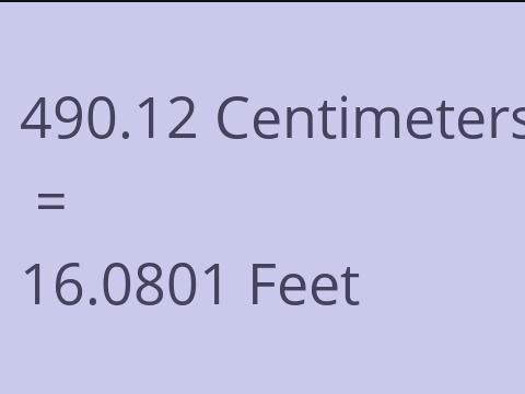 490.12 CM TO FEET