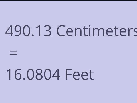 490.13 CM TO FEET