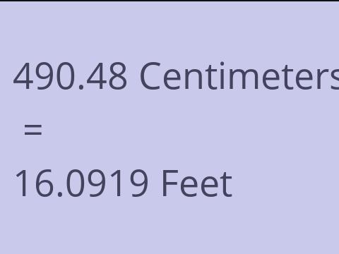 490.48 CM TO FEET