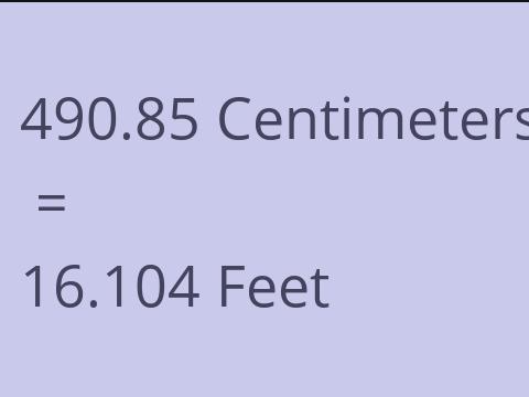 490.85 CM TO FEET