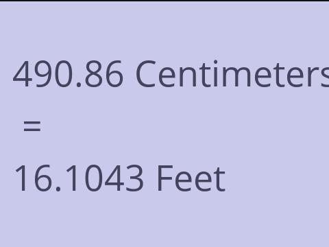 490.86 CM TO FEET