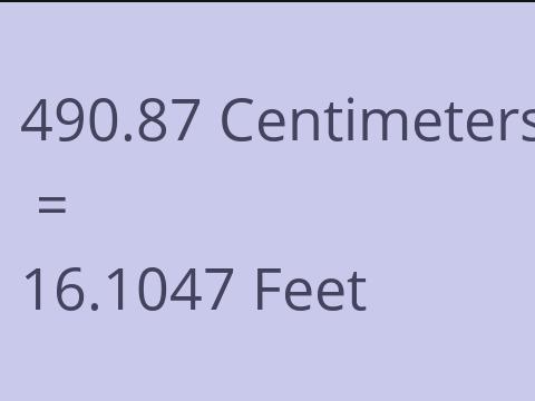 490.87 CM TO FEET