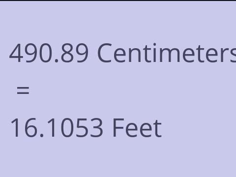 490.89 CM TO FEET