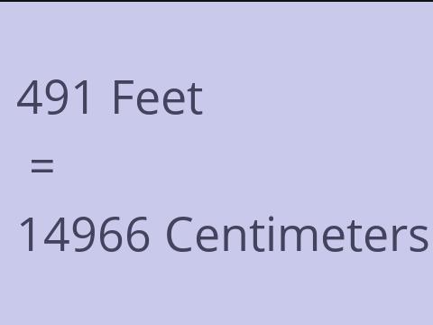 491 FEET TO CM