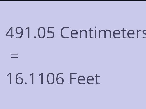 491.05 CM TO FEET